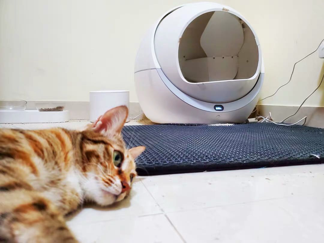 Self Cleaning Litter Box For Multiple Cats and Large Cats