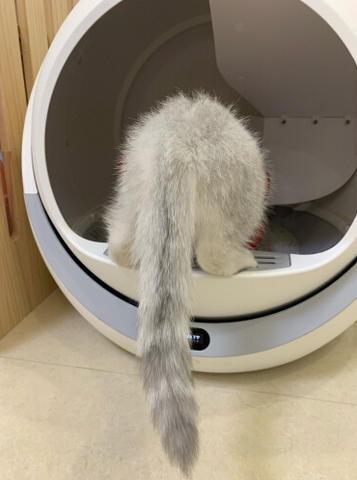 Customer Images: Petree Self Cleaning Litter Box For Multiple Cats and Large Cats