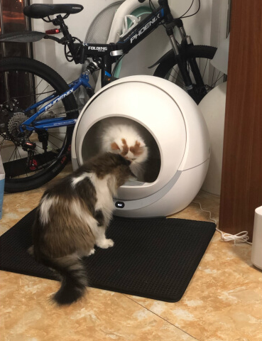 Customer Images: Petree Self Cleaning Litter Box For Multiple Cats and Large Cats