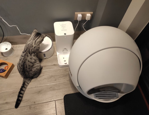 Customer Images: Petree Self Cleaning Litter Box For Multiple Cats and Large Cats