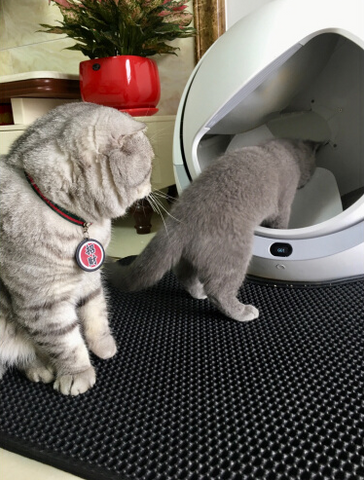 Customer Images: Petree Self Cleaning Litter Box For Multiple Cats and Large Cats