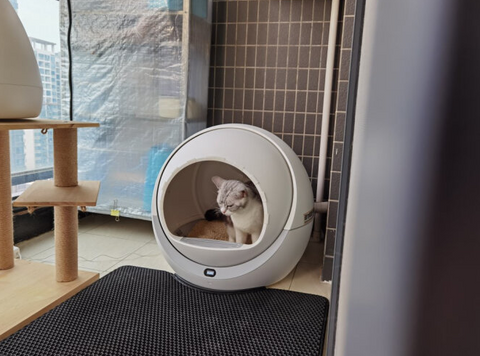 Customer Images: Petree Self Cleaning Litter Box For Multiple Cats and Large Cats