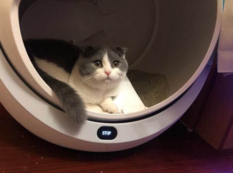 Customer Images: Petree Self Cleaning Litter Box For Multiple Cats and Large Cats