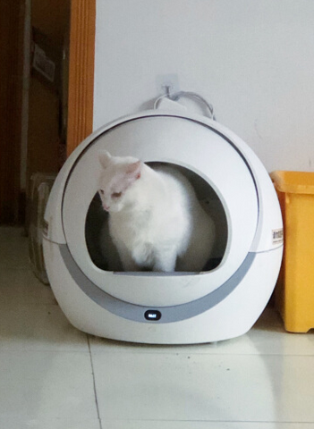 Customer Images: Petree Self Cleaning Litter Box For Multiple Cats and Large Cats