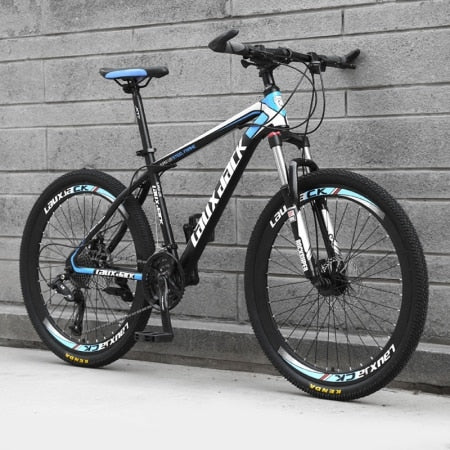 adult mountain bike