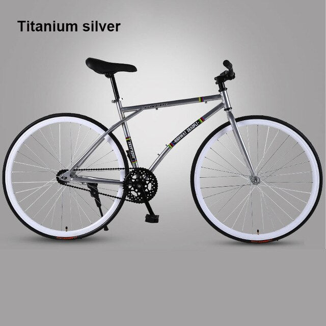 titanium single speed bike