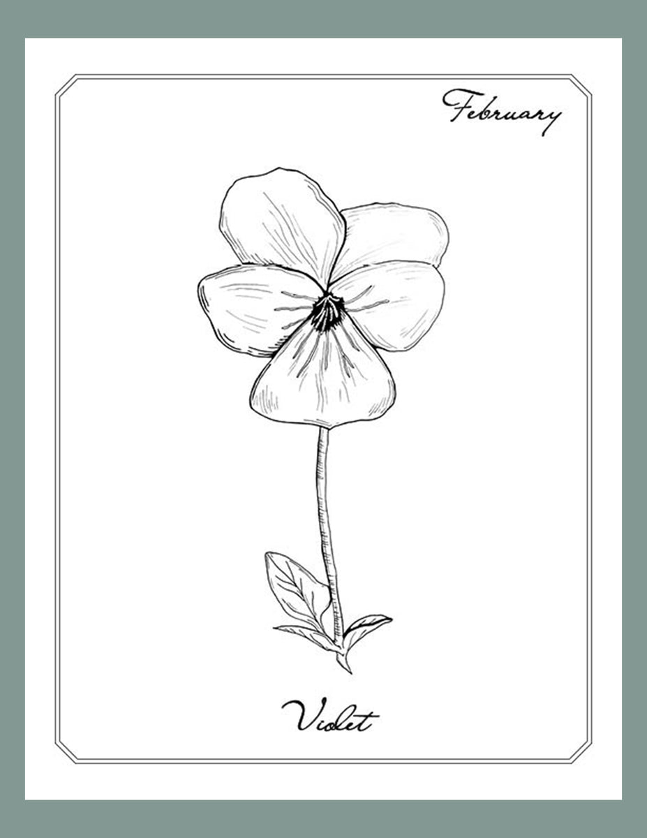 Violet Flower Drawing Black And White : Sakura Tucson