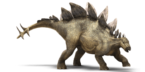 stegosaure different dinosaure