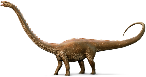 diplodocus sorte de dinosaure