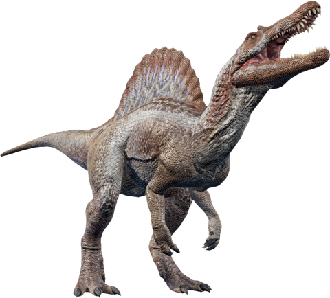 spinosaurus sorte de dinosaure