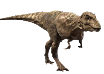 tarbosaure sorte de dinosaure