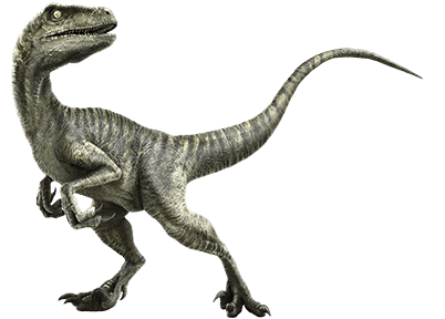 velociraptor dinosaure espece