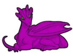 Dragon violet