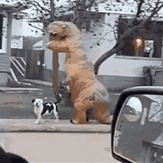 T-Rex promène son chien