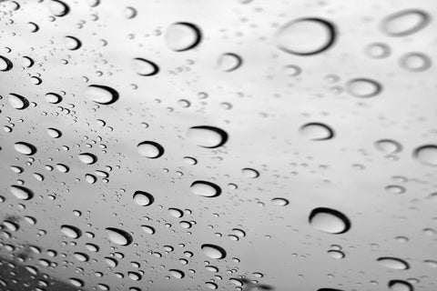 Water droplets on a window