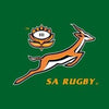 South Africa logo with Springbok and Protea