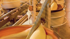 Gingerbread World Blog: Niederegger Marzipan - The Yummiest Factory in the World