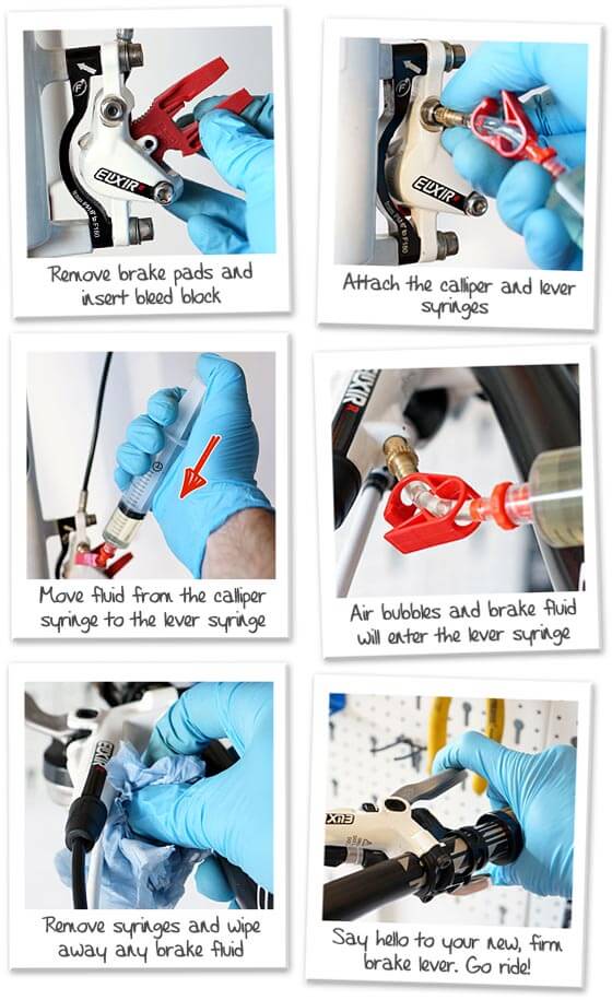 avid bleed procedure