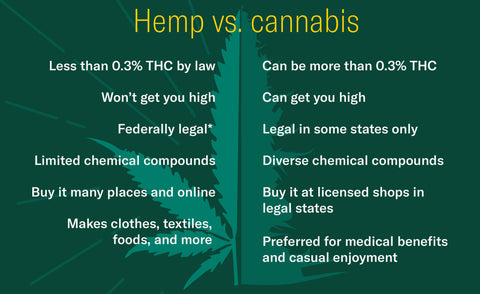 hemp vs cannabis bullet point chart breakdown comparison | Blumenes CBD blog