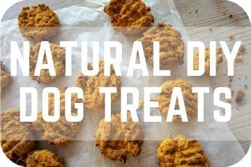 natural_diy_dog_treats_graphic