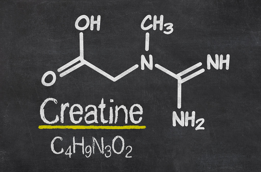 Creatine Monohydrate