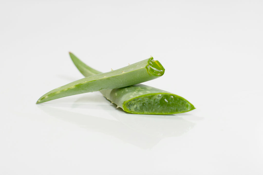The benefits of Aloe for Your Skin