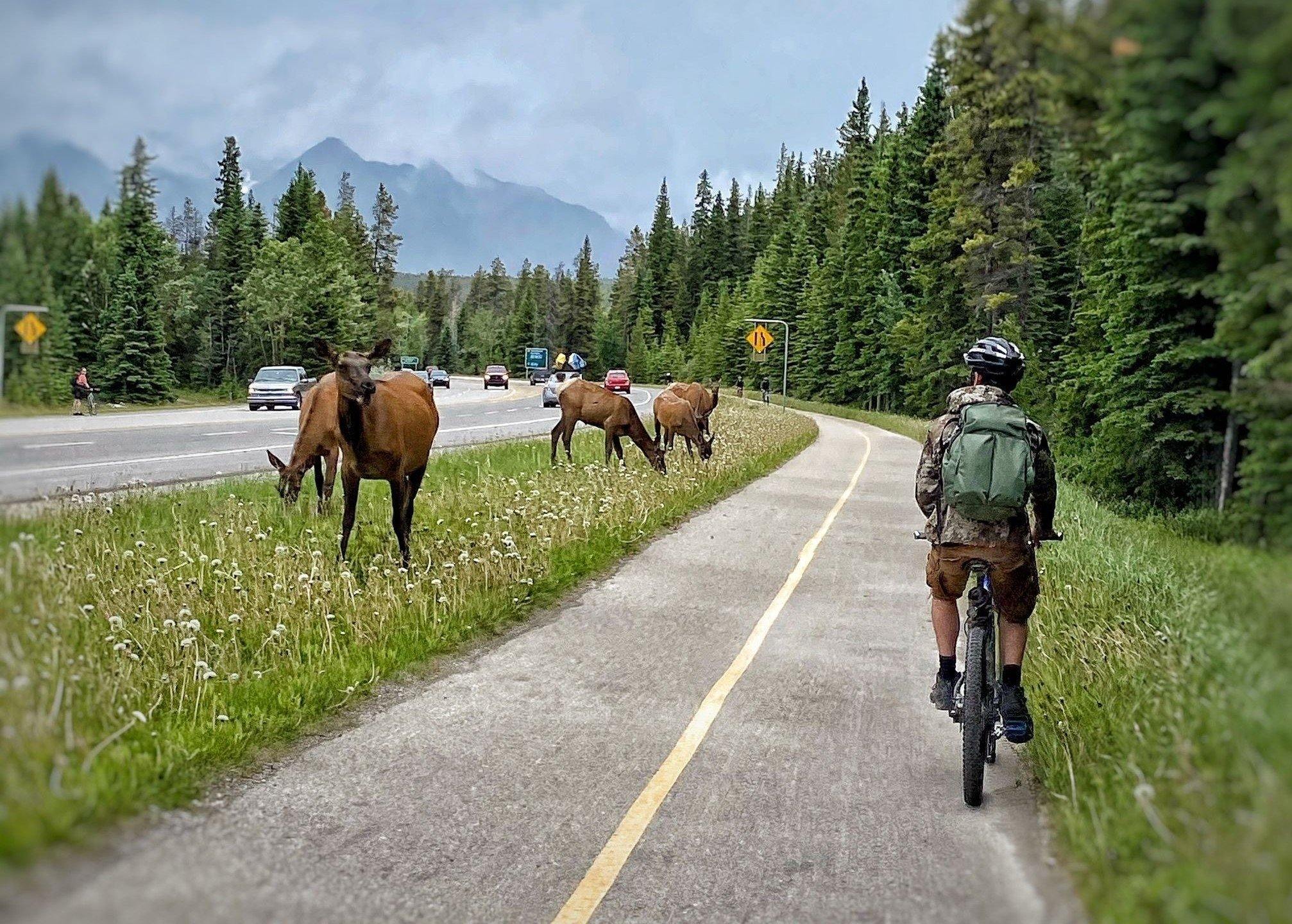 banff bike shops