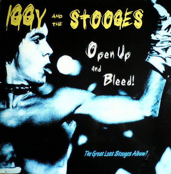 The Stooges iggy pop イギーポップ アメリカLPレコード library