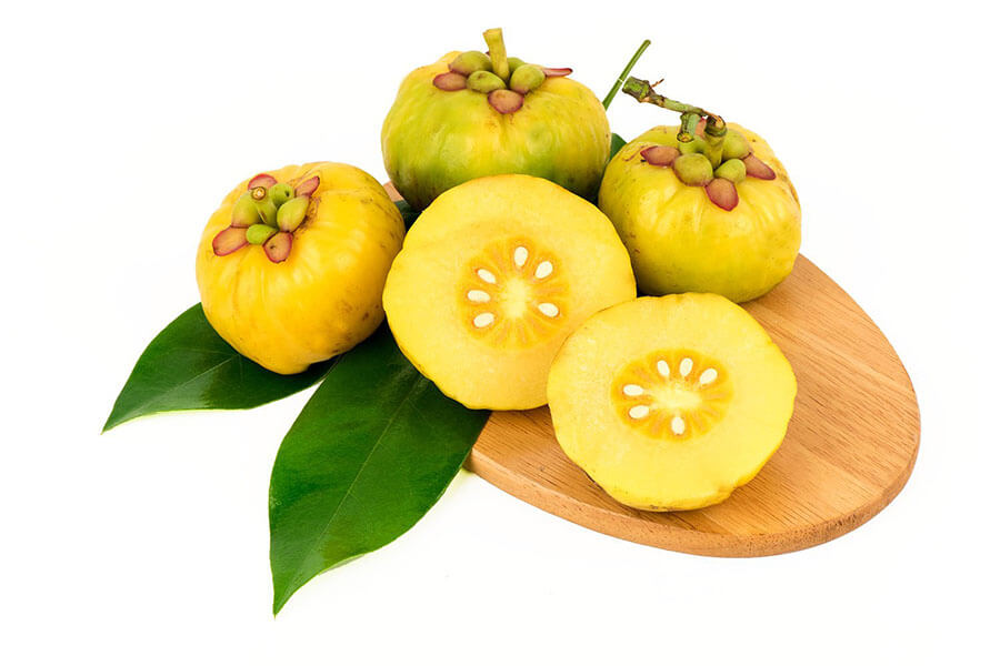 Garcinia gummi-gutta