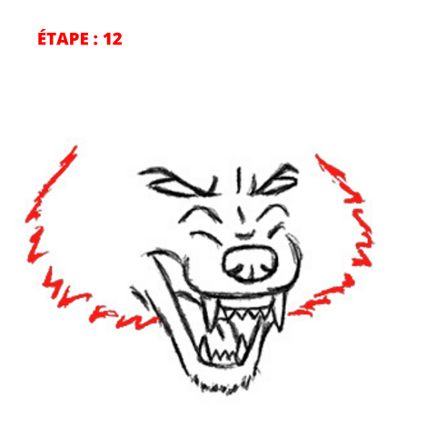 dessin visage de loup