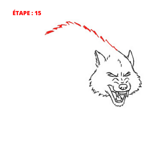 dessin fourrure de loup