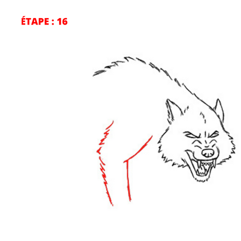dessin jambe de loup