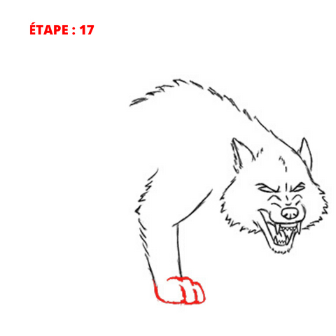 dessin corps de loup