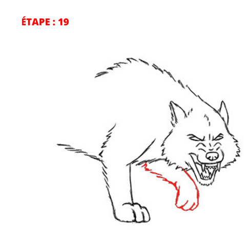 dessin jambe de loup
