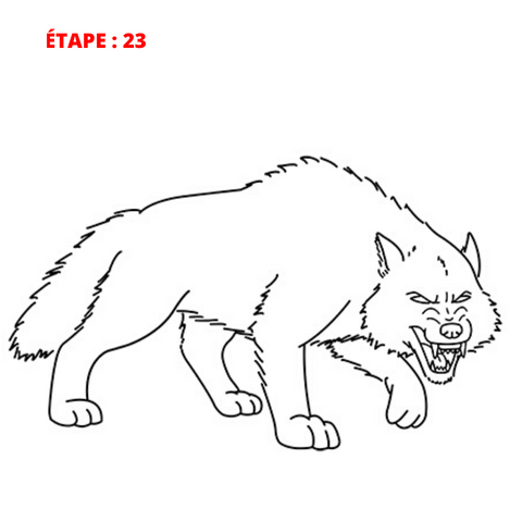 dessin de loup grognant