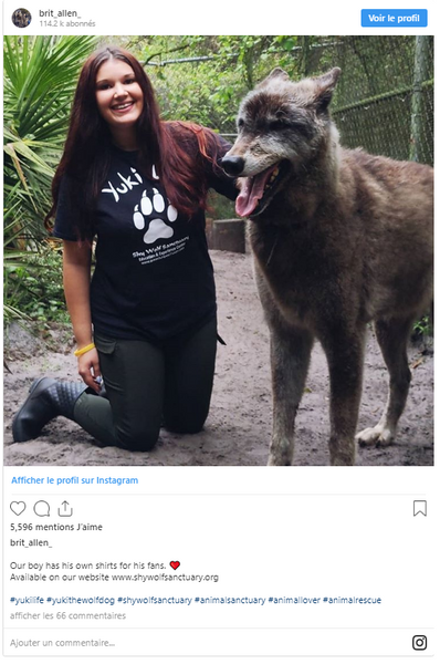 instagram chien loup géant