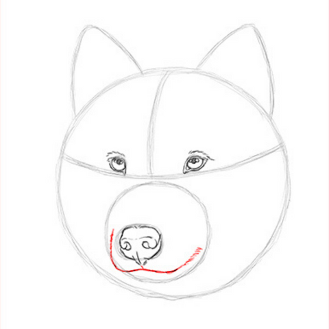 dessin bouche du loup