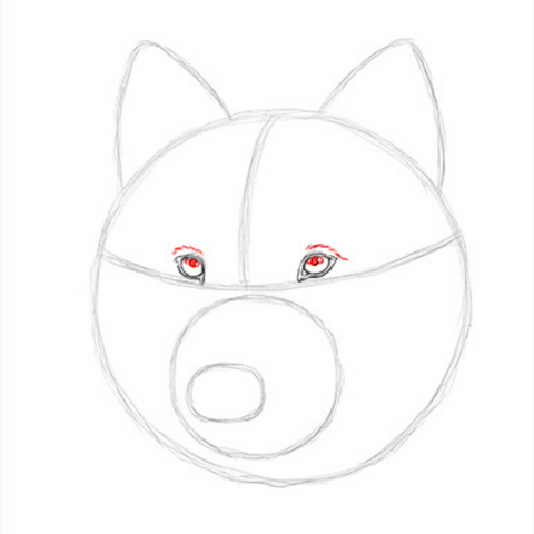 dessin pupilles de loup