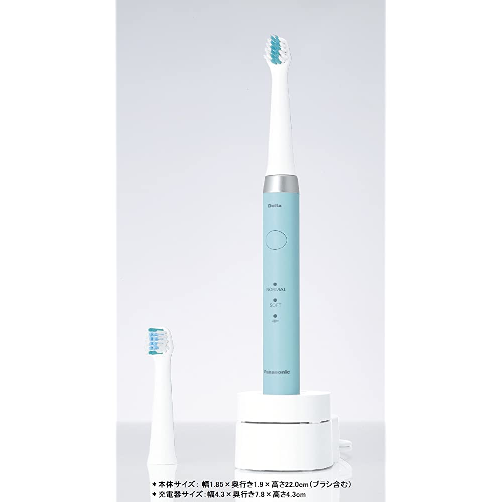 Panasonic Doltz EW-DM61 Sonic Vibration Toothbrush