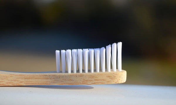 Poils brosse à dents bambou