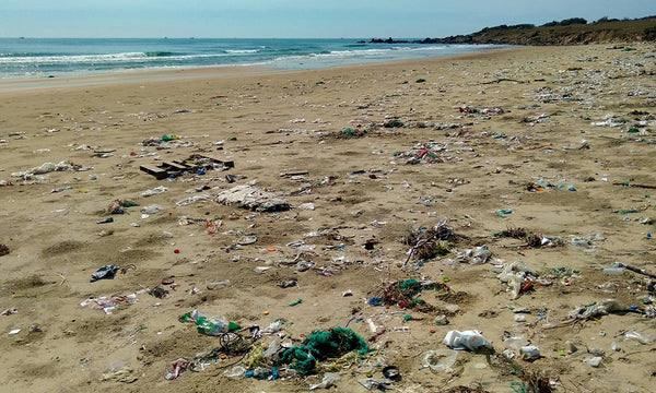 La pollution sur les plages