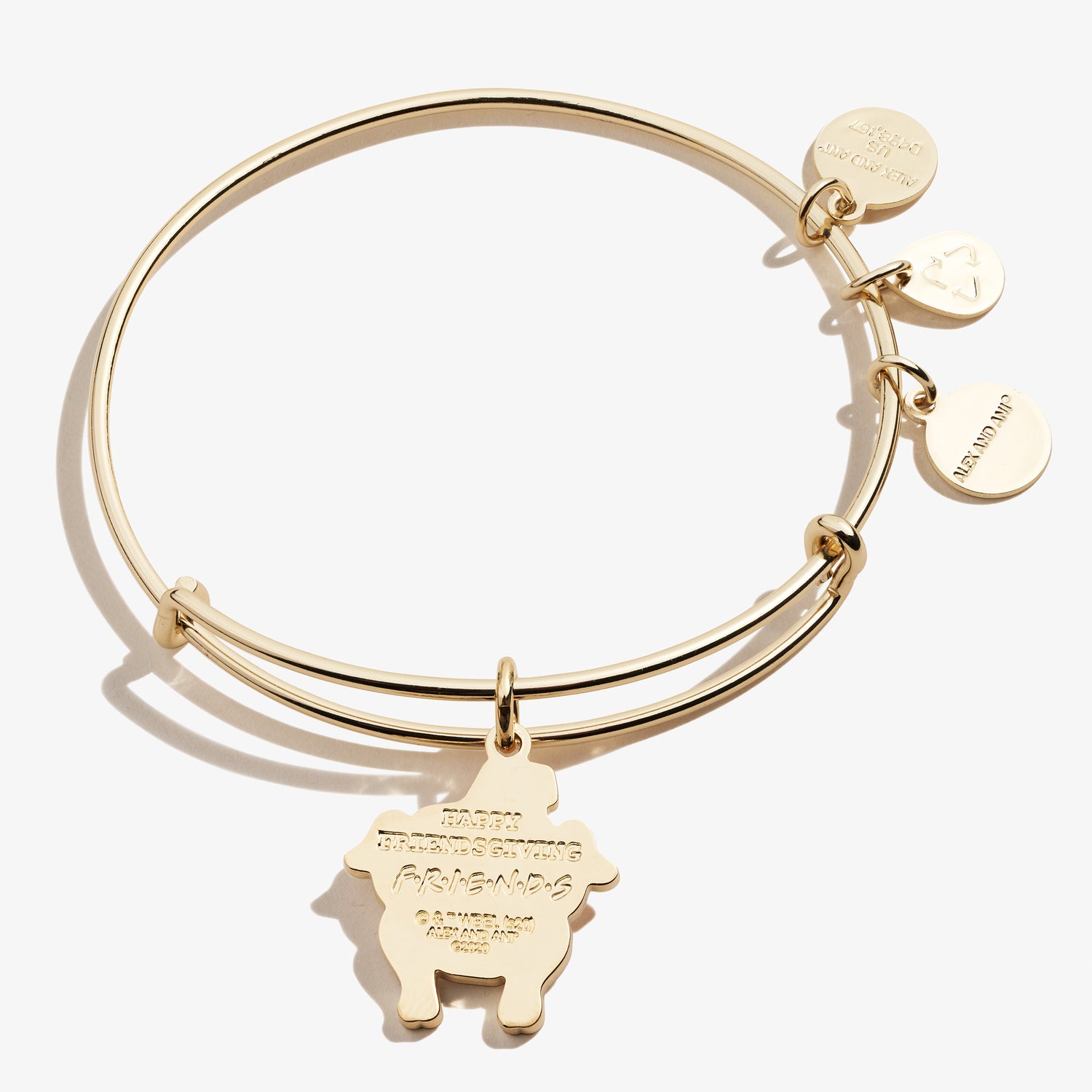 Friends Thanksgiving Turkey Charm Bangle