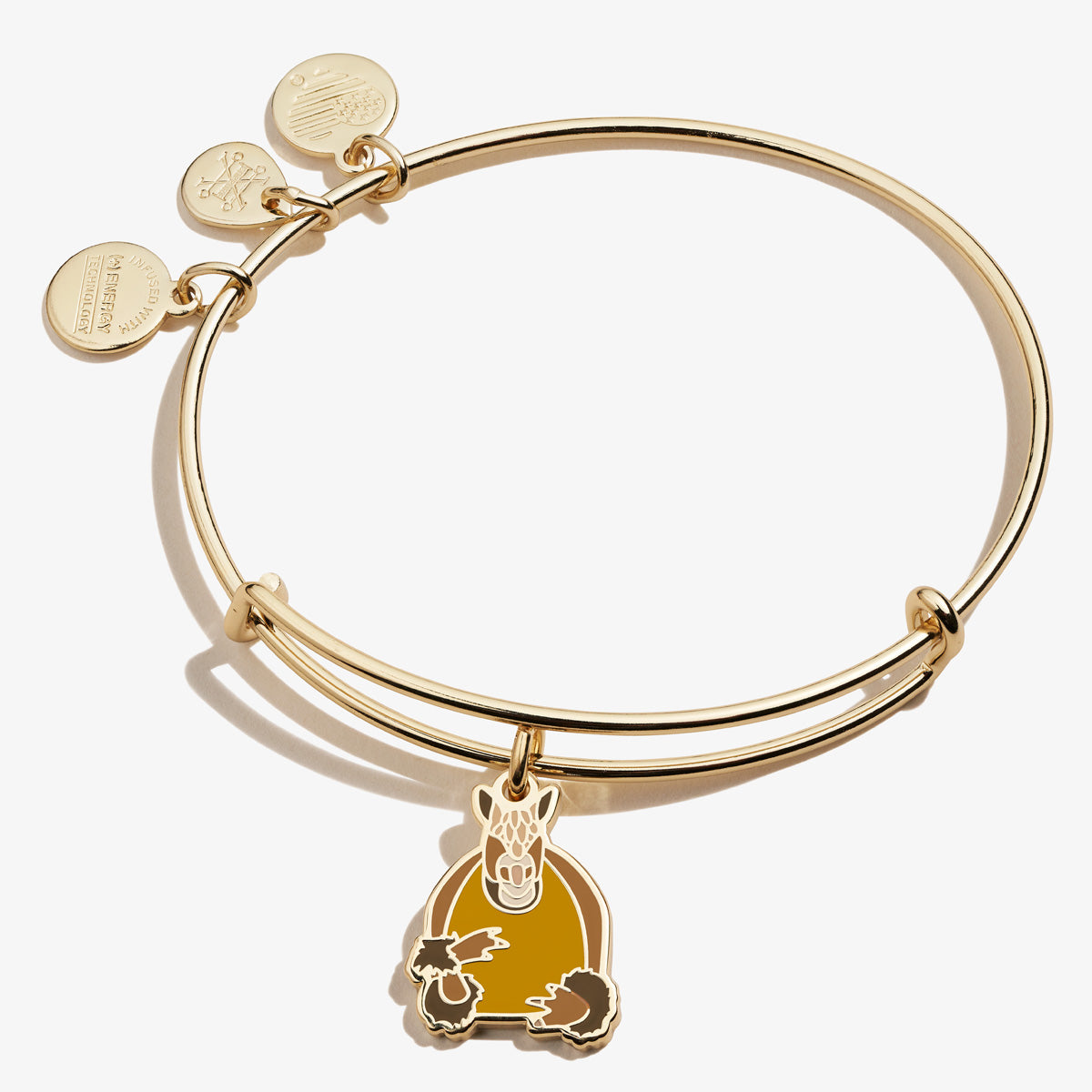 Friends Holiday Armadillo Charm Bangle