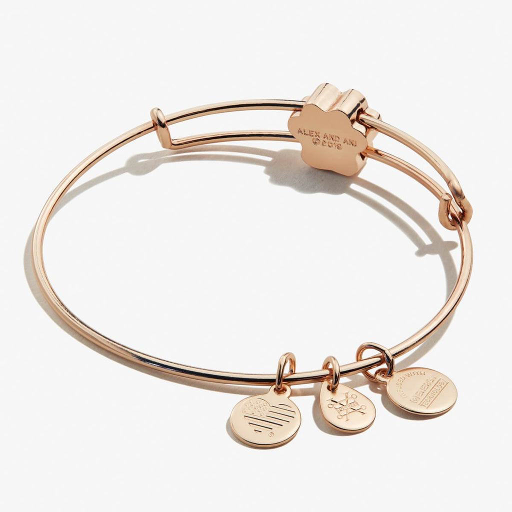 Alex And Ani Paw Print 2024 | towncentervb.com