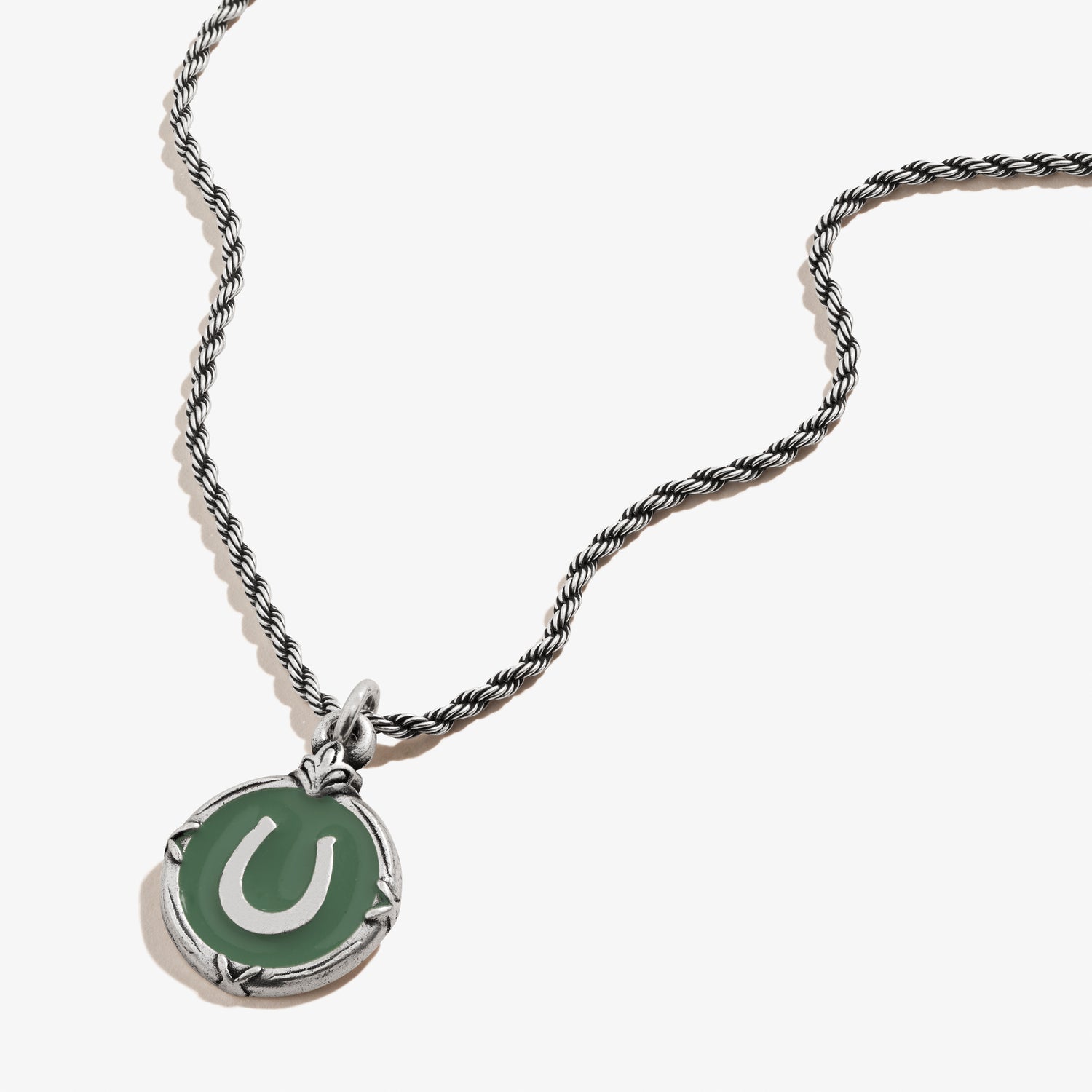 Token of Luck Horseshoe Charm Necklace