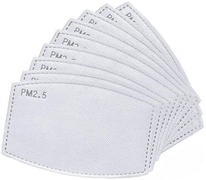 PM2.5 Filter for Filter+ (10 pack)
