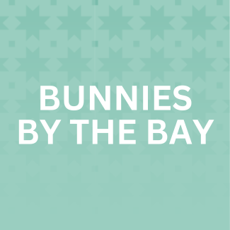 Bunnies by the Bay fabrics for Timeless treasures fabric