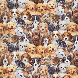 Animals - Puppies Multi Yardage Primary Image