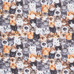 Cats - Packed Mixed Breeds of Cats Multi Yardage Primary Image