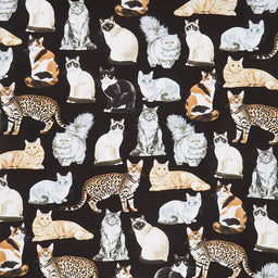 Cats - Realistic Cats Black Yardage